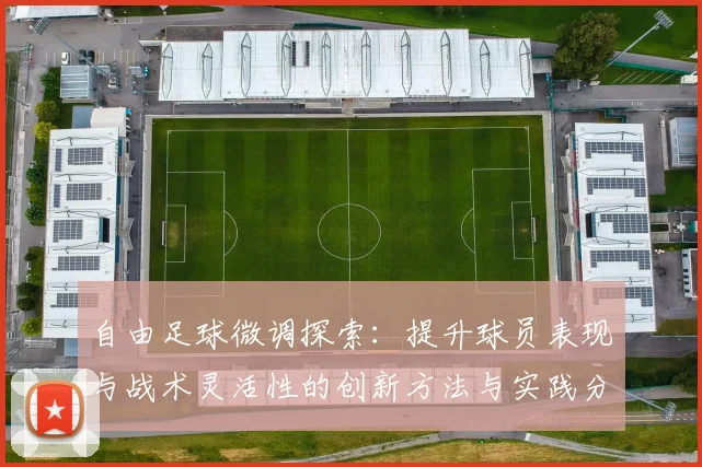 自由足球微调探索：提升球员表现与战术灵活性的创新方法与实践分析