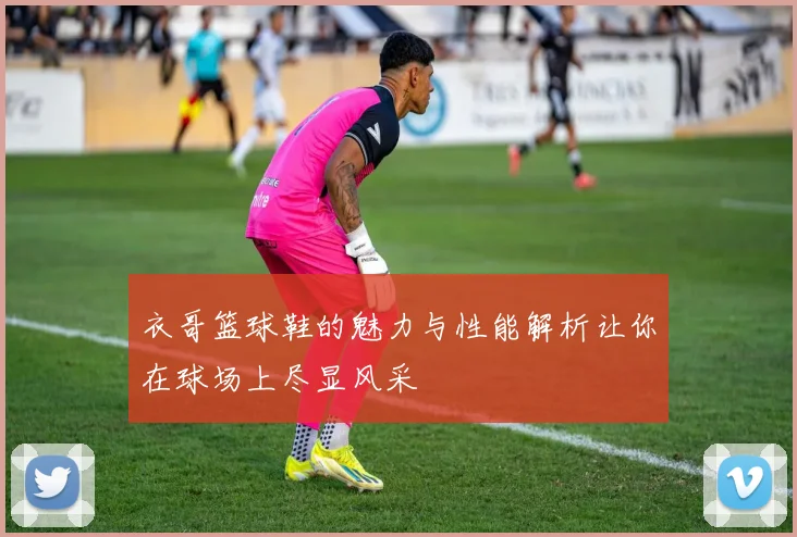 衣哥篮球鞋的魅力与性能解析让你在球场上尽显风采