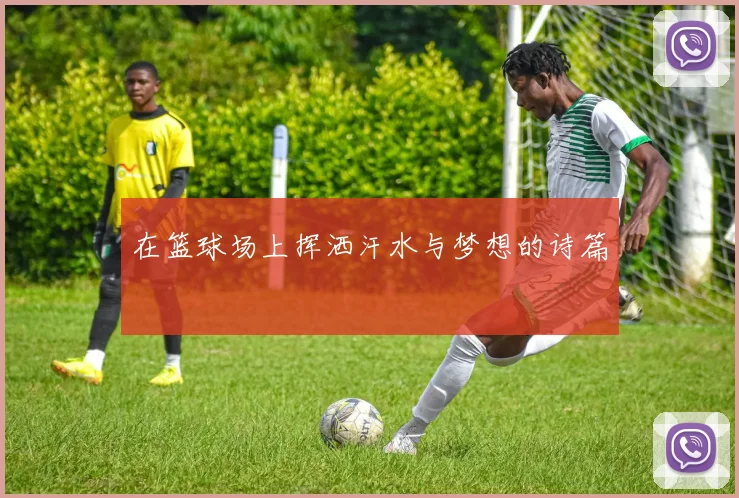 在篮球场上挥洒汗水与梦想的诗篇