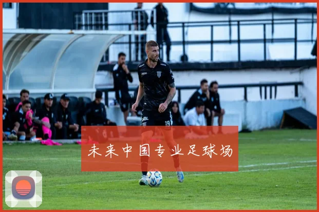 未来中国专业足球场