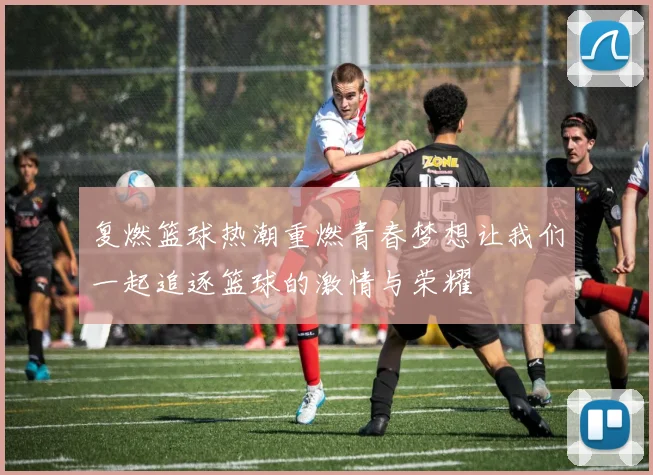 复燃篮球热潮重燃青春梦想让我们一起追逐篮球的激情与荣耀