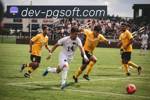 PG模拟器服务体系